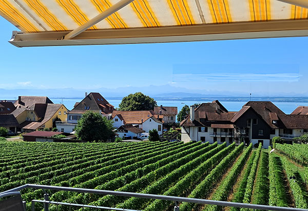 Ferienwohnung mit Seeblick am Bodensee